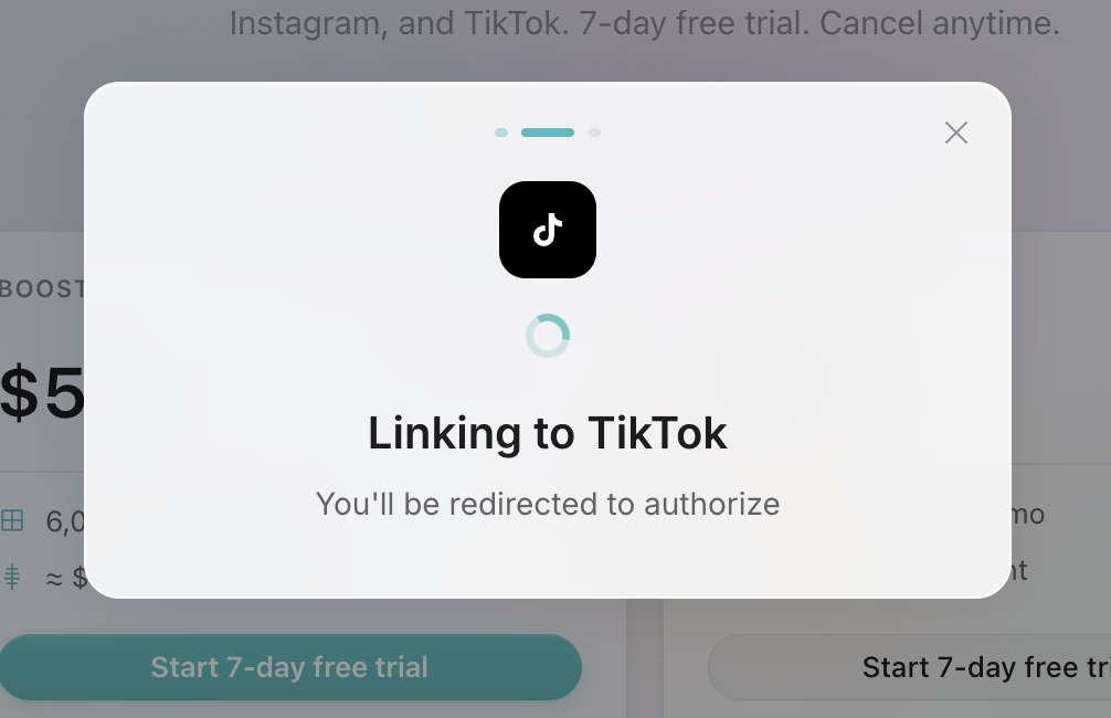 Linking to TikTok